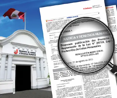 ¿Qué es la Ley Nº 29733?