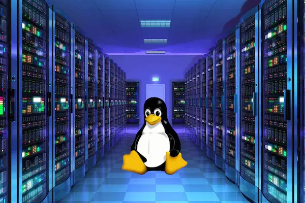 Soporte Linux sin interrupciones